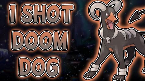 houndoom raid|Houndoom Best Tera Raid Build .